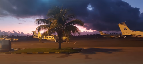 Flygplan bakom träd